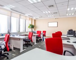 office